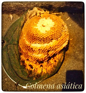 eraluntza-1